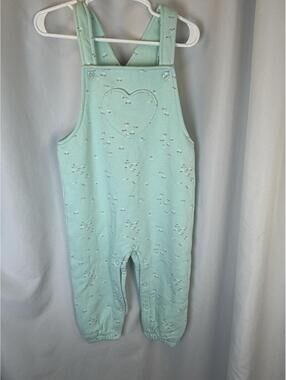 First Impressions Baby Girl Mint Green Floral Jersey Overall Jumper 24 Months
